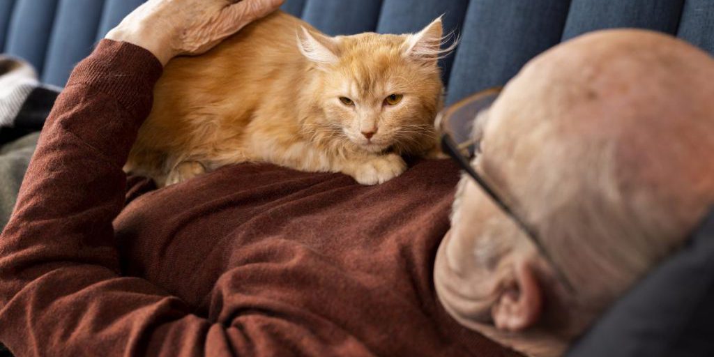 Почему кошка спит только на вас: причина трогательнее, чем вы думаете