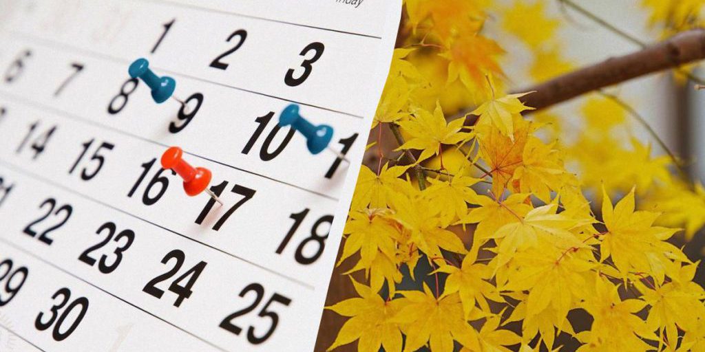 Festività Ucraine a Novembre: Una Celebrazione della Cultura e della Spiritualità