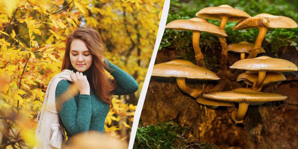 Кого надо поздравить и о чем помолиться 19 октября: традиции в праздник сегодня