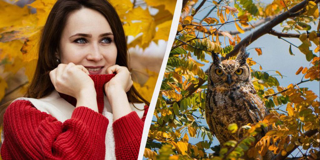 Много праздников и обычаев: кого поздравить и что сделать 20 октября 2025