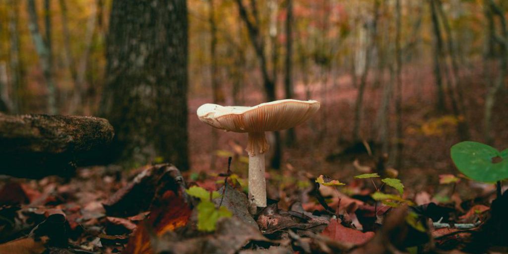 Синоптик Диденко сообщила, где уже завтра разогреет до +16°