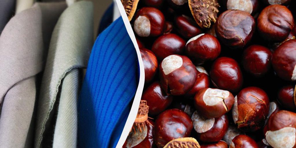 Два-три каштана в шкаф - и многолетняя проблема решится сама собой: о чем идет речь