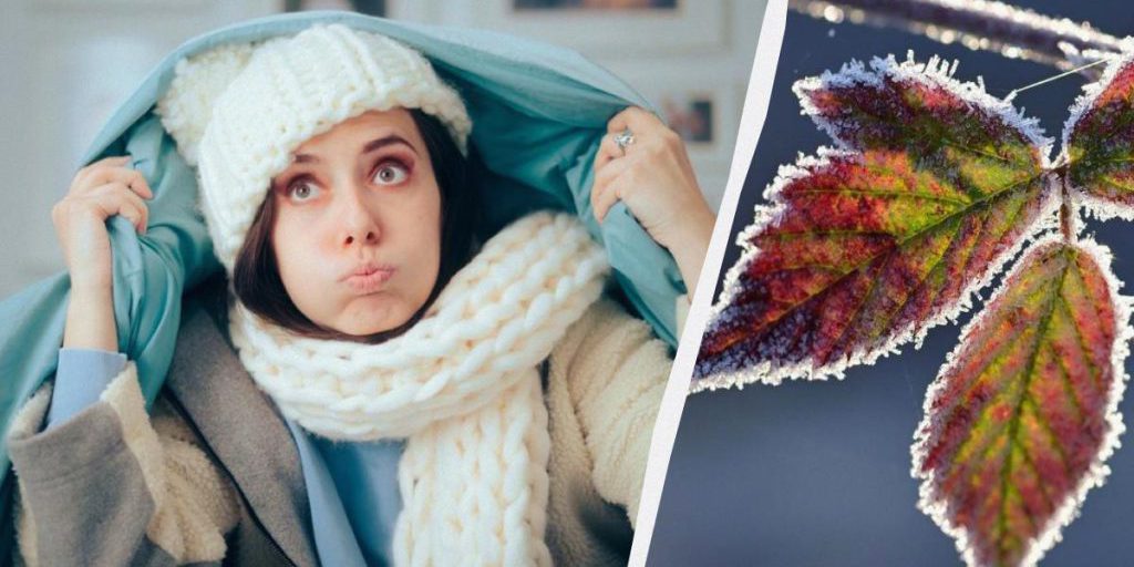 Заморозки не отпускают: названы области, где температура упадет до -5°