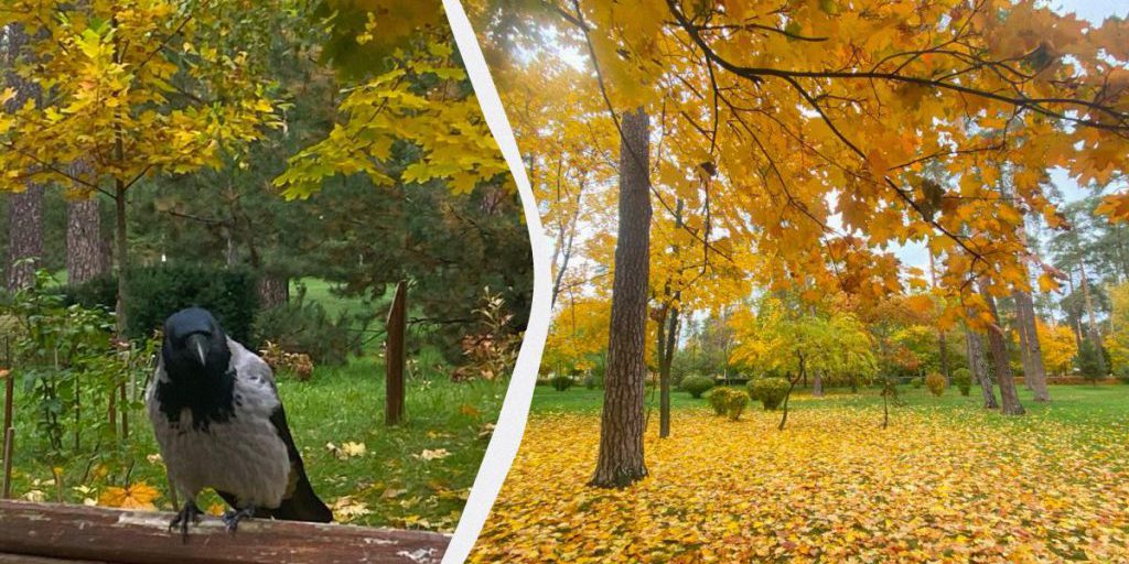 Завтра в Киев вернется 10-градусное тепло