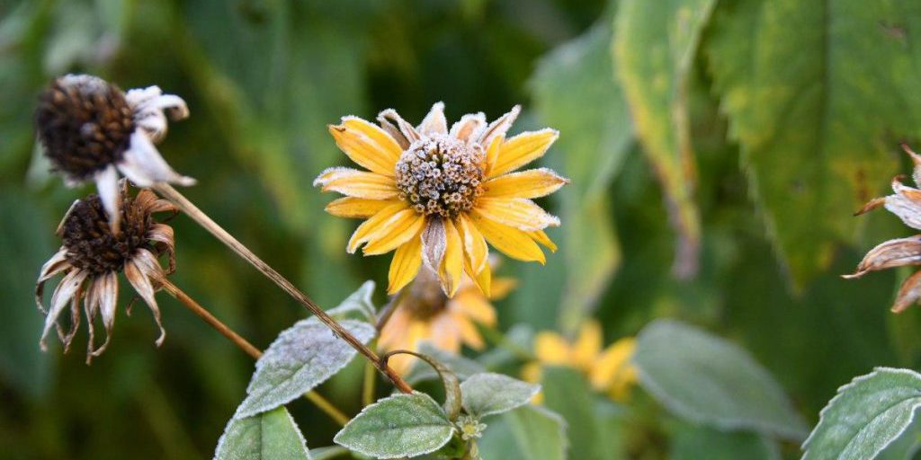 Allerta Meteo in Ucraina: Condizioni Climatiche Avverse e Possibili Zamorzki