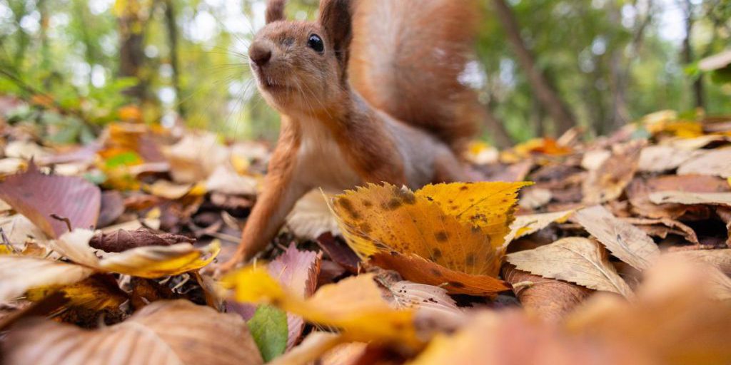 Завтра в Киев придет долгожданное потепление