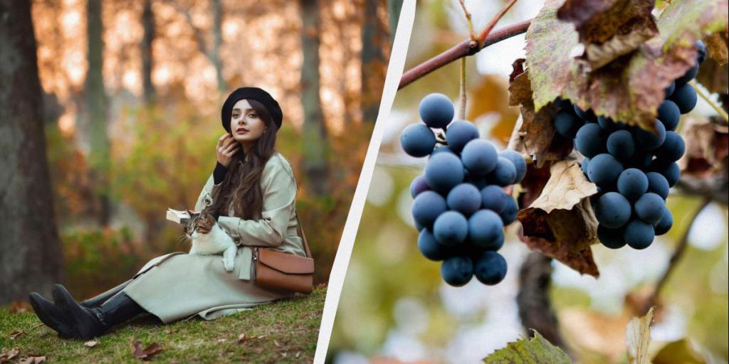 Чего нельзя делать родителям: запреты и обычаи в праздник 24 октября 2025