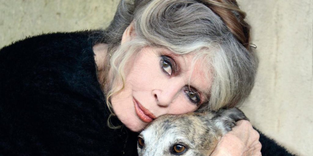 Брижит Бардо вышла на связь после того, как ее "похоронили" в сети