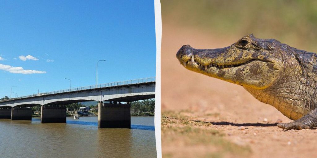 В Австралии реку с крокодилами одобрили для олимпийских соревнований