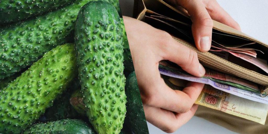 Prezzo del cetriolo: quanto costa un chilogrammo oggi?