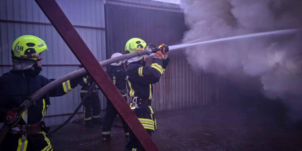 Cervo del Kiev Zoo in recupero dopo ferite riportate durante l’attacco russo