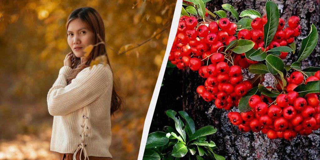 Ucraina celebra due festività il 30 novembre 2025: una ufficiale e una popolare