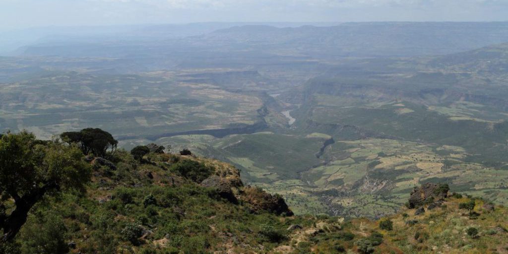 Scoperta in Etiopia di una nuova specie di 3 grammi, peso di un cubetto di zucchero