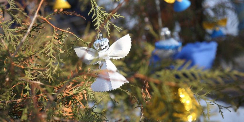 Come prolungare l'aroma di un albero di Natale