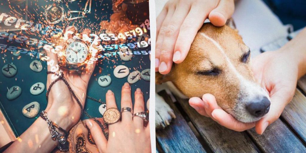 Gentilezza: la forza consapevole che dimostra potere interiore