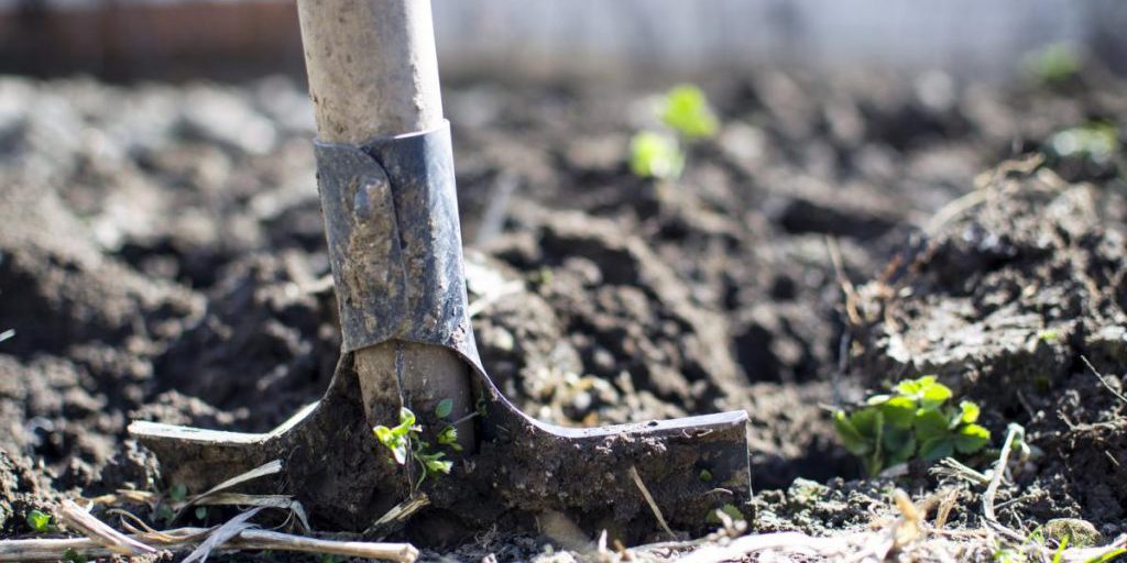 Tesoro di guerra sepolto riscoperto dopo 80 anni grazie a mappa della memoria