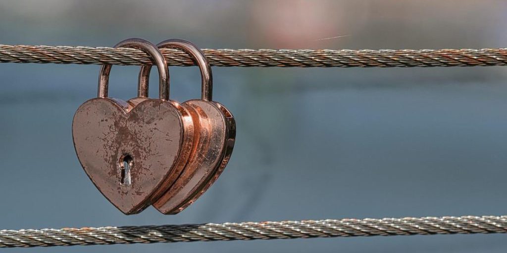 Scienziati identificano sei specie animali che rimangono monogame per tutta la vita