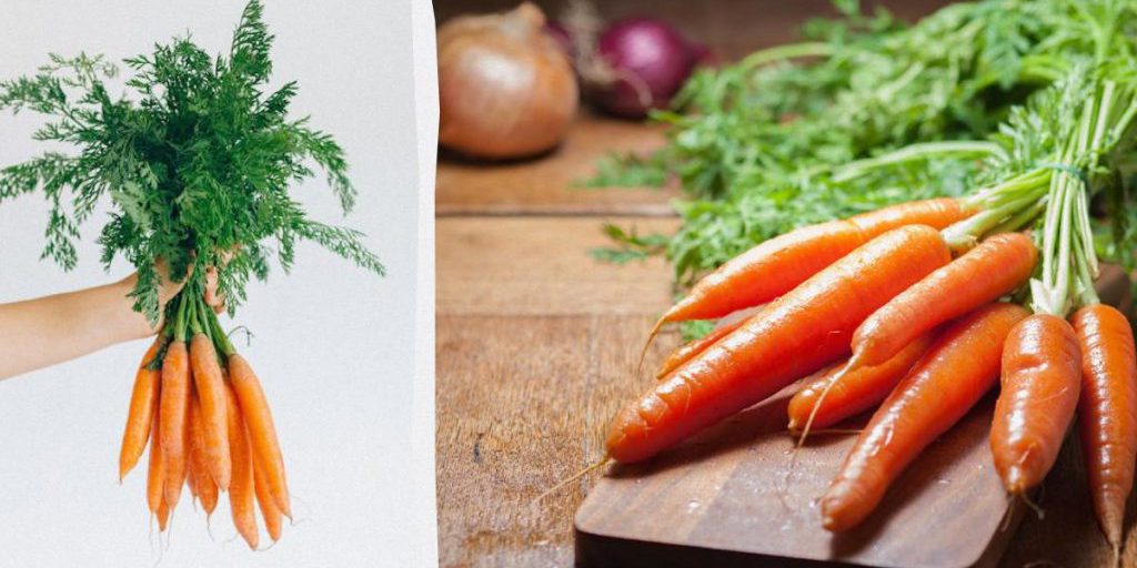 Un metodo semplice per mantenere le carote fresche per 10 giorni