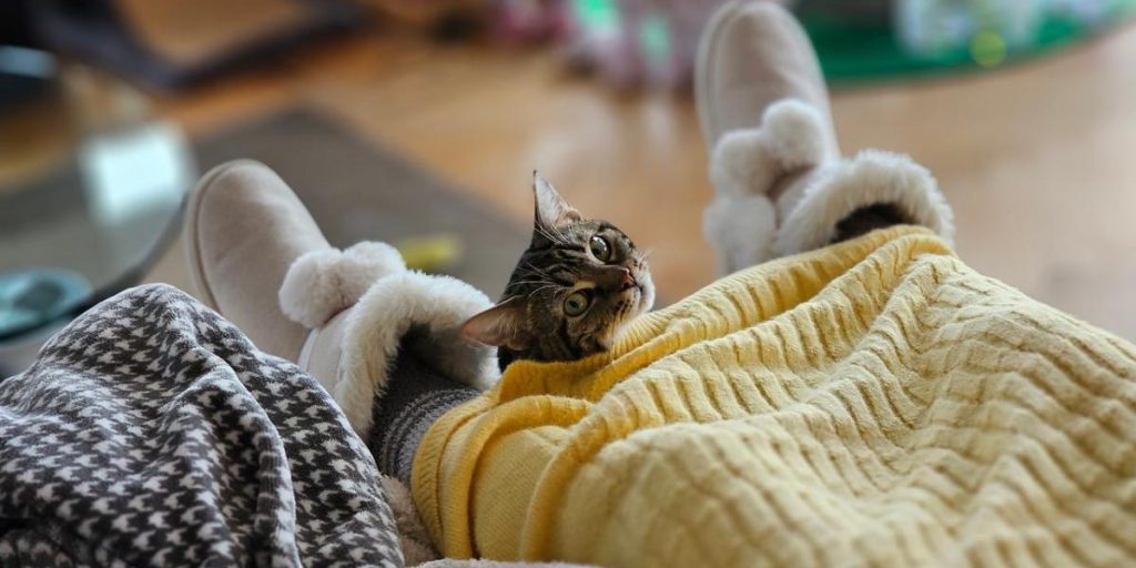 Gelate in Ucraina a partire dal 30 gennaio, il sud e l’est rimangono più miti