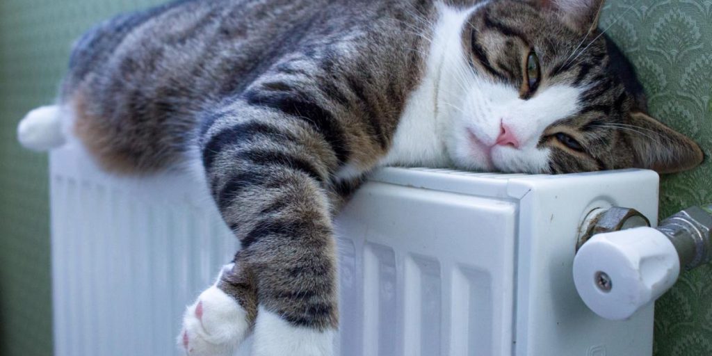 Pellicola di alluminio dietro le batterie: metodo inefficace e alternativa più sicura