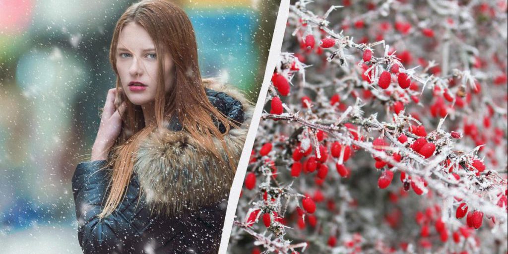 28 gennaio: giorno di preghiera familiare e rispetto per gli animali in Ucraina