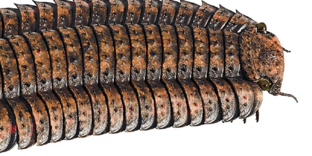 Arthropleura: il più grande millepiedi mai scoperto