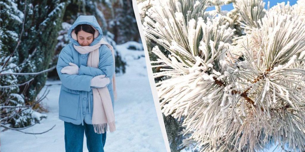 Pronostico meteorologico per la fine dell’inverno 2026 in Ucraina