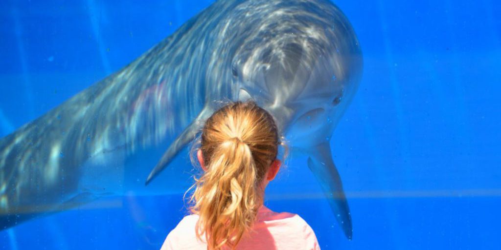 Scienziati scoprono creature che attribuiscono nomi simili a quelli umani