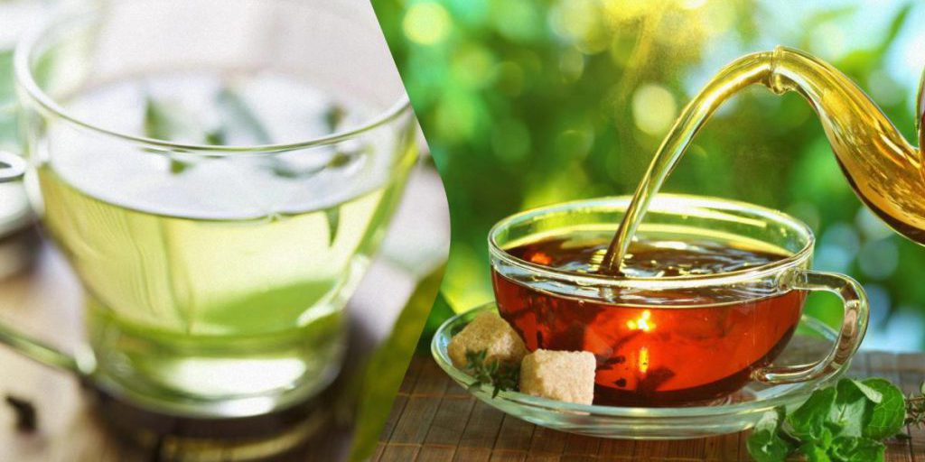 Tè nero vs tè verde: quale è più salutare secondo gli esperti