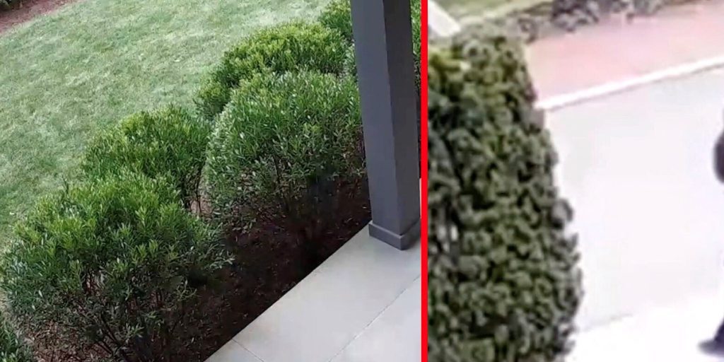 Sparatore di Brown University è riuscito a fuggire: le autorità cercano la sua cattura