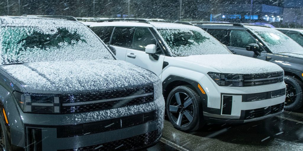 Neve e freddo in Florida e Georgia: tempesta invernale si estende al sud.