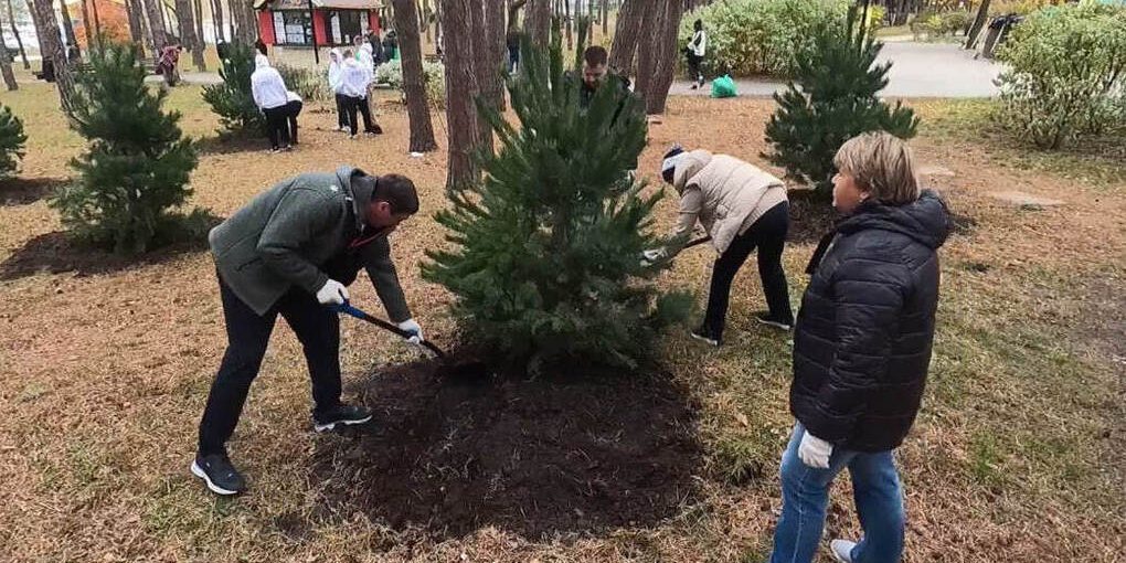 В Воронеже высадят более тысячи деревьев и кустарников этой осенью