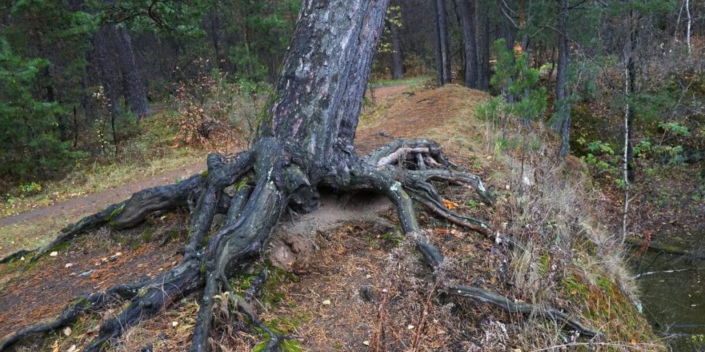 До +13 градусов будет во вторник на Южном Урале