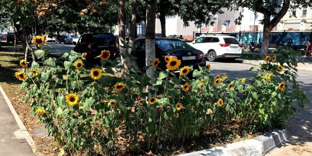 Саратов 21 сентября прогреется солнцем