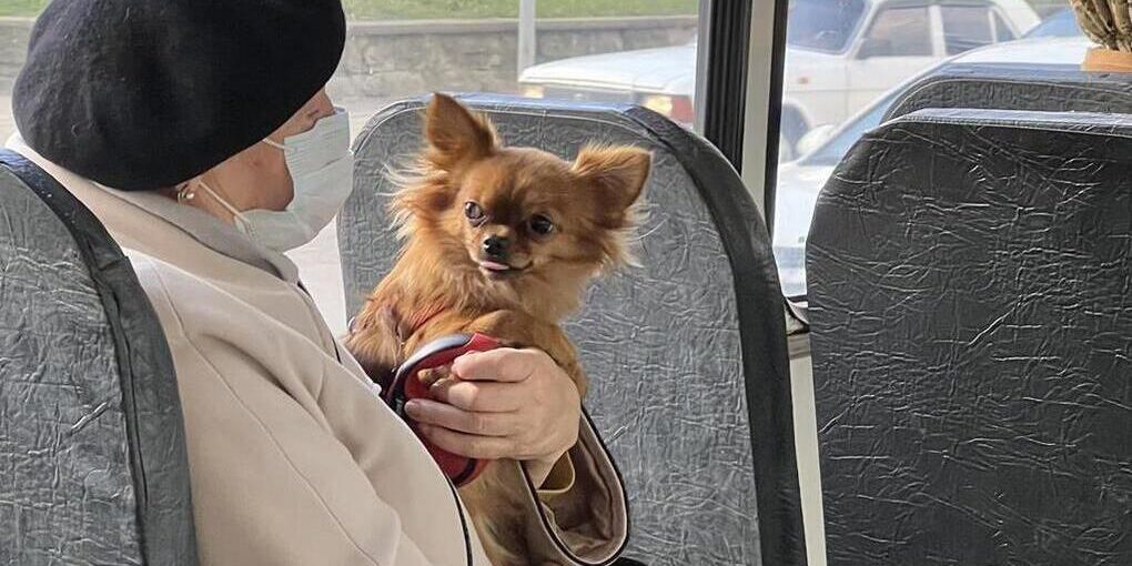 «КТТУ» не планирует отменять адресное открытие дверей в трамваях Краснодара