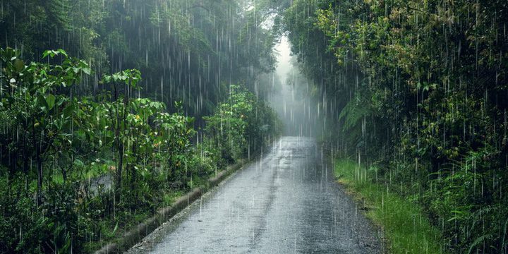 Previsioni meteorologiche per la regione di Cherson: pioggia e 19 gradi il 24 ottobre