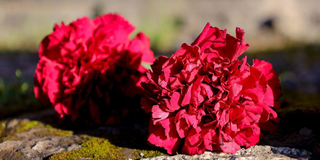 Скончался известный актер, запомнившийся по фильму "Темный рыцарь"