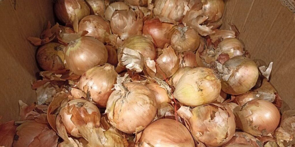 Come Scegliere il Luke Giusto per la Tua Salute: Consigli e Precauzioni