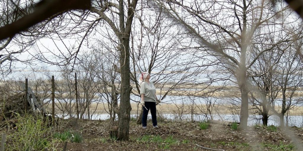 "La lotta al taglio illegale di alberi in Russia: sanzioni severe per proteggere le foreste"