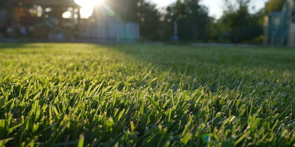 Синоптики обещают волгоградцам 24 сентября ветер и до +30℃