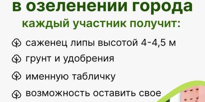 Ярославских бизнесменов призывают посадить именную липу.