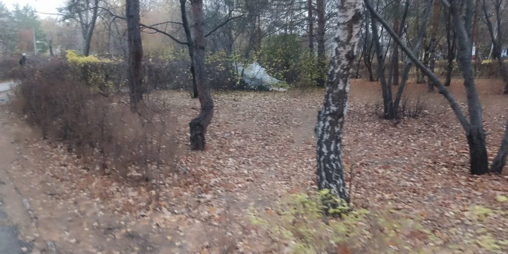 Misterioso occupante nel parco di Novaya a Orenburg: timori per la sicurezza dei residenti