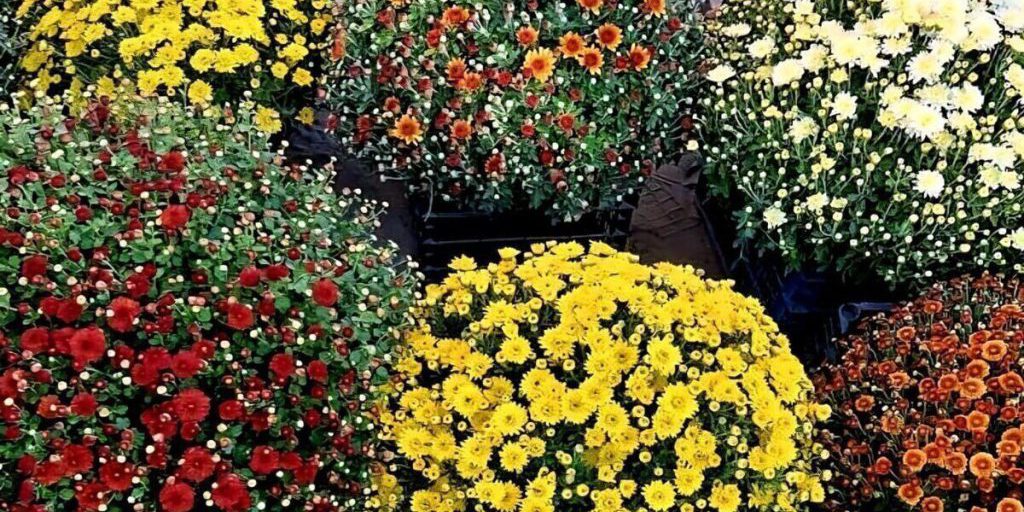 В Херсонской области сегодня осадков не ожидается и +17 градусов