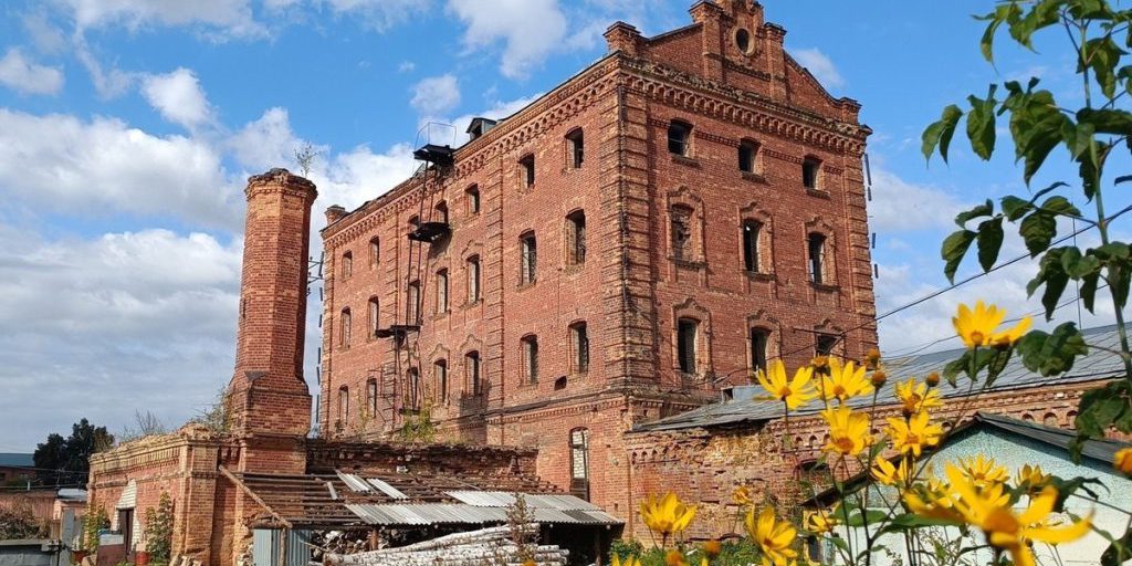 Денис Паслер сообщил, что за лето по региону совершено 1,2 миллиона турпоездок