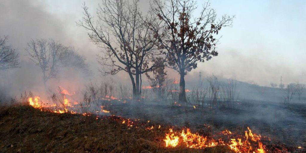Из-за лесного пожара в Аланье российских туристов эвакуировали