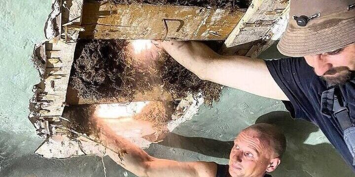 В храме в Печорах обнаружили забытые световые окна при реставрации