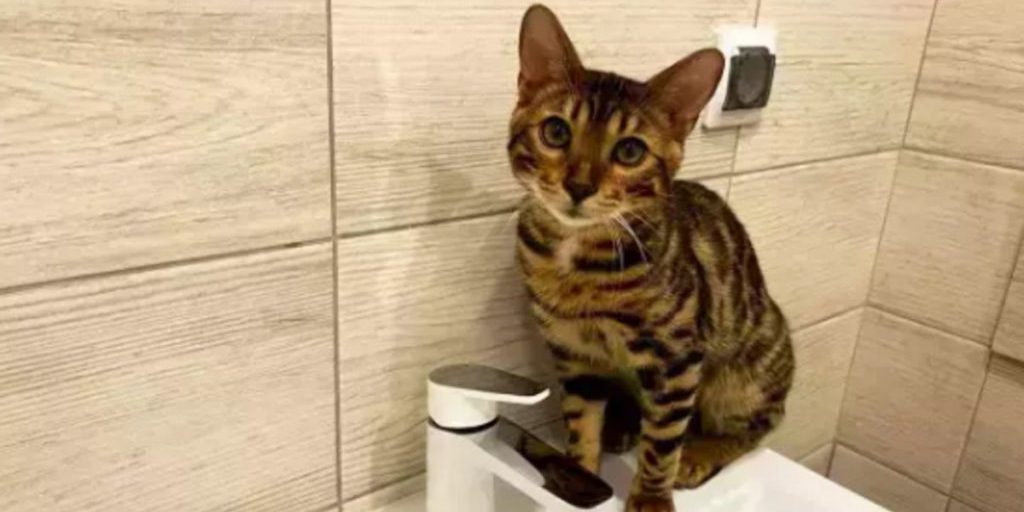 В Ростове-на-Дону жители микрорайона Суворовский почти сутки сидят без воды