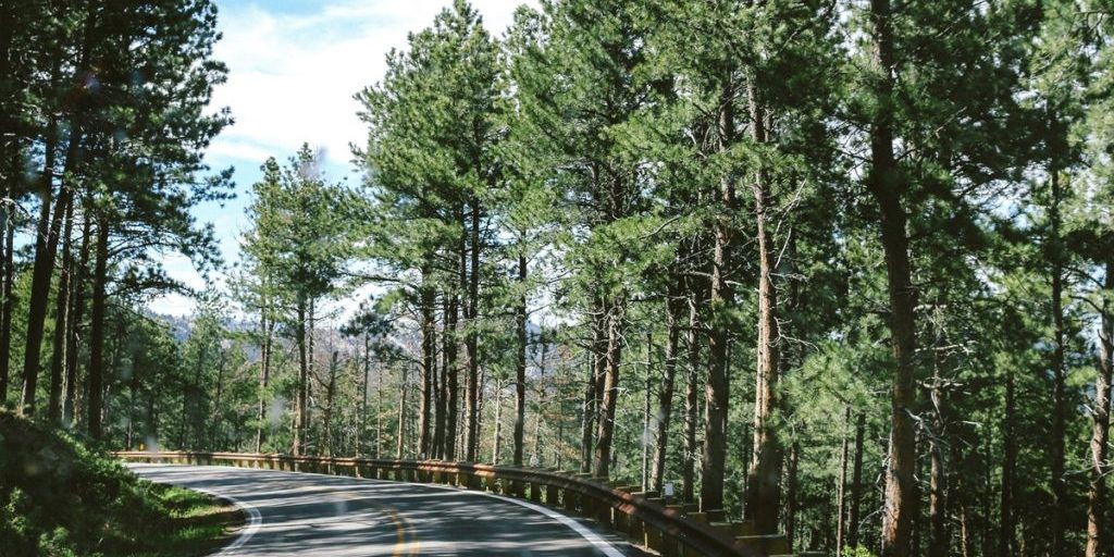 Под Брянском в ДТП иномарка вылетела в кювет: два человека пострадали