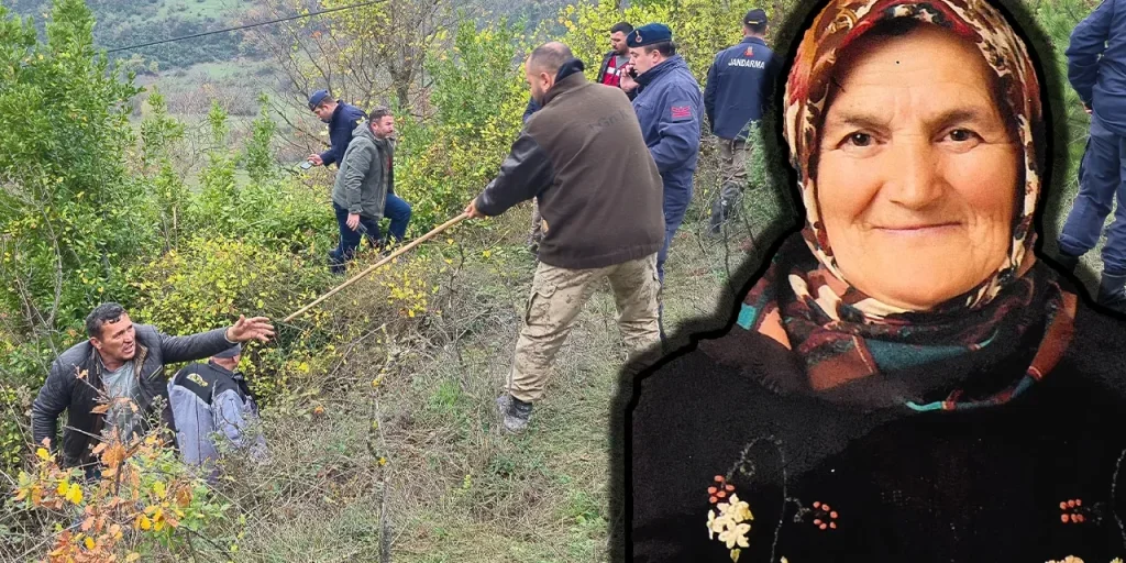 78enne trovata morta dopo due giorni di ricerca in bosco di Bartın: sospetta caduta durante taglio di alloro