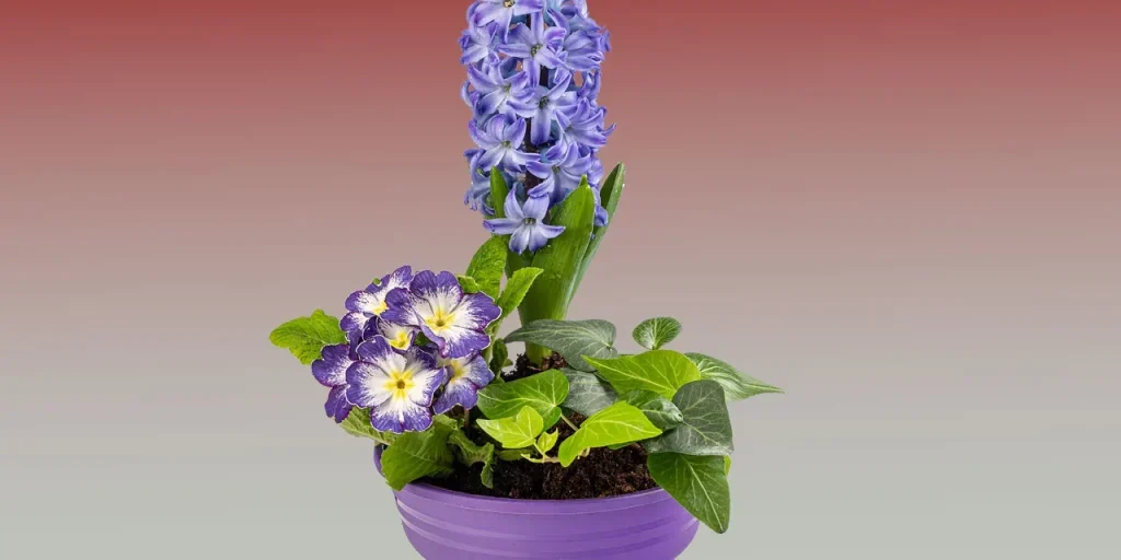 Produzione di fiori tagliati cala quasi il 6% nel 2025